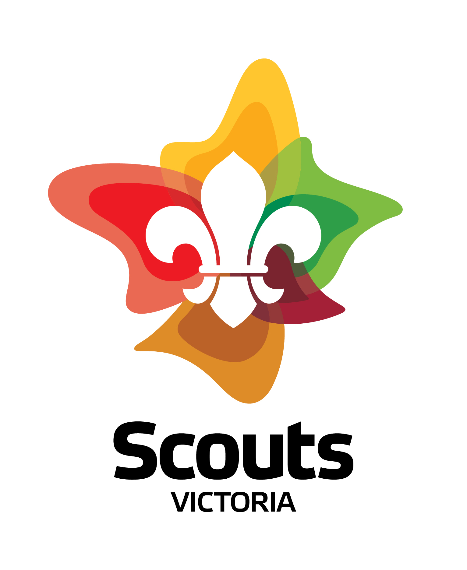 4th Brunswick Scout Group